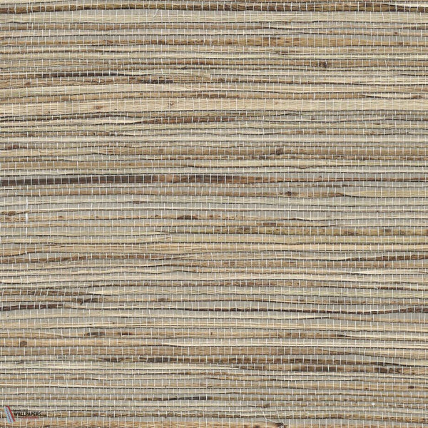 Grass Roots-Phillip Jeffries-wallpaper-Back to the Basics-Roll-Selected Wallpapers