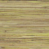 Grass Roots-Phillip Jeffries-wallpaper-Livingston Lime-Roll-Selected Wallpapers