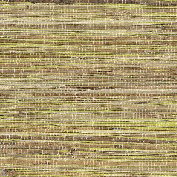 Grass Roots-Phillip Jeffries-wallpaper-Livingston Lime-Roll-Selected Wallpapers