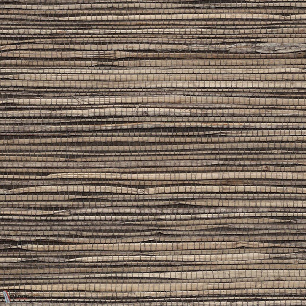 Grass Roots-Phillip Jeffries-wallpaper-PJ Brown-Roll-Selected Wallpapers