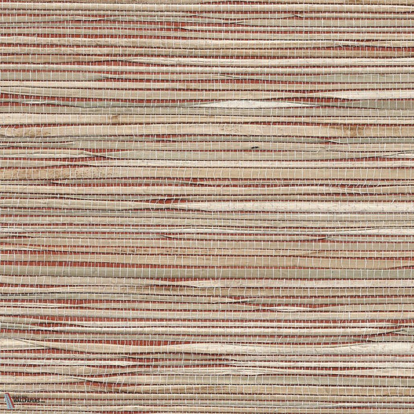 Grass Roots-Phillip Jeffries-wallpaper-Reka's Red-Roll-Selected Wallpapers