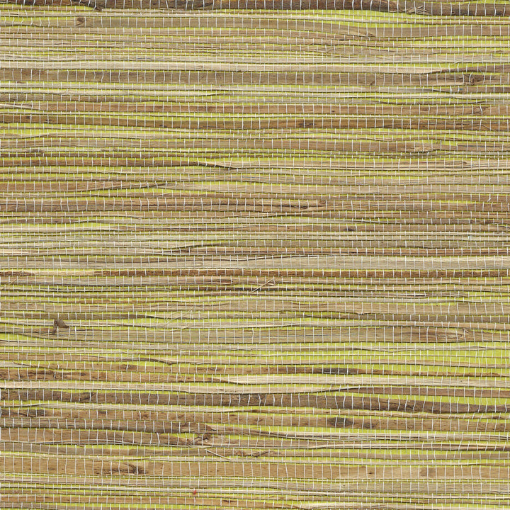 Grass Roots-Phillip Jeffries-wallpaper-behang-Tapete-wallpaper-Livingston Lime-Rol-Selected Wallpapers