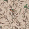 Great Ormond St.-Little Greene-behang-Cappuccino-Rol-Selected Wallpapers