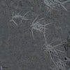 Harmony Hues-Muance-behang-06-Textured Vinyl-Selected-Wallpapers-Interiors
