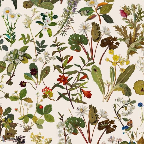 Herbarium behang-House of Hackney-Ecru-200 cm-Selected-Wallpapers-Interiors