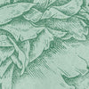 Herbarium behang-behang-Inkiostro Bianco-Selected Wallpapers & Interiors