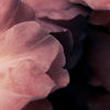 Aroma behang-behang-Inkiostro Bianco-Selected Wallpapers & Interiors