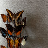 Iguana behang-Masureel-Selected-Wallpapers-Interiors
