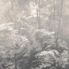Into the Woods-LondonArt-behang-1-RAW-S120-Selected-Wallpapers-Interiors
