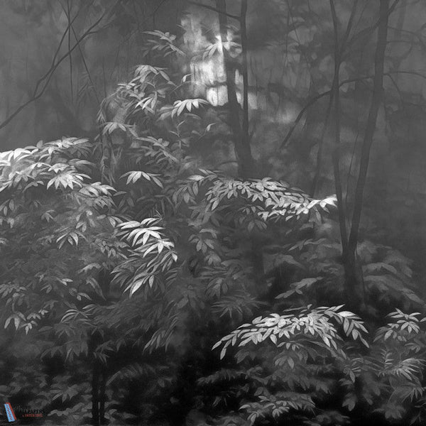 Into the Woods-LondonArt-behang-3-RAW-S120-Selected-Wallpapers-Interiors