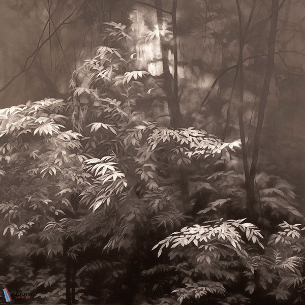 Into the Woods-LondonArt-behang-4-RAW-S120-Selected-Wallpapers-Interiors