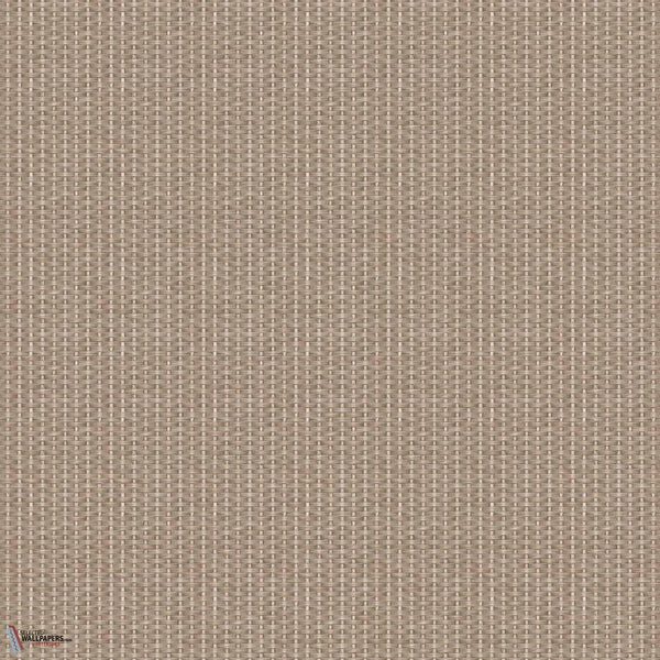 D00235