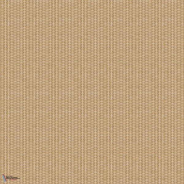 D00237
