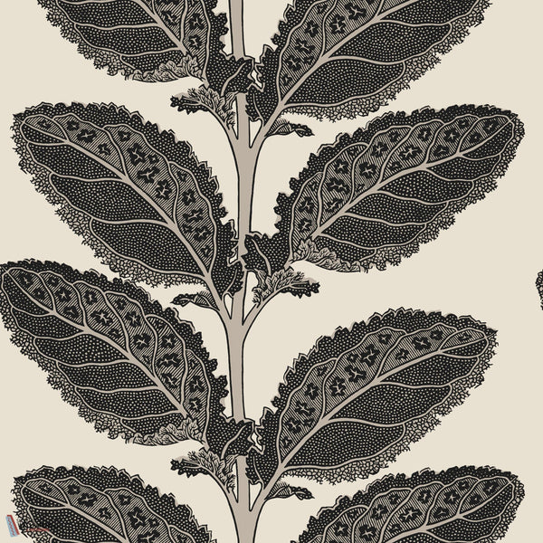 Lacinato wallpaper-Thibaut-Basalt black-Roll-Selected Wallpapers-Interiors