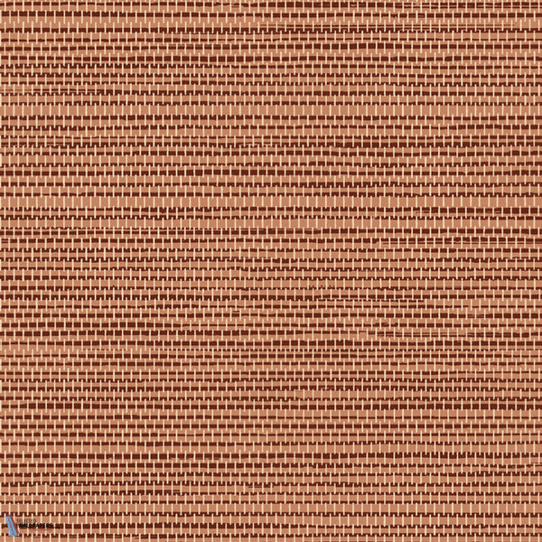 Le Sisal-wallpaper-Arte-Terracotta-Roll-26709-Selected Wallpapers