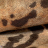 Leopard Tapete-Elitis-Selected Wallpapers & Interiors