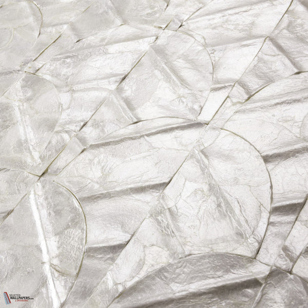 Abalone Tapete-Arte-Selected-Wallpapers-Interiors