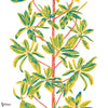 Mangrove tree behang-Thibaut-Coral-Rol-Selected Wallpapers-Interiors