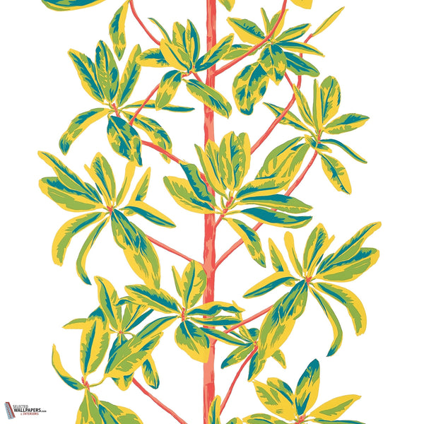 Mangrove tree behang-Thibaut-Coral-Rol-Selected Wallpapers-Interiors