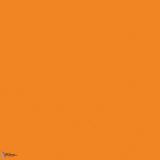 Little Greene Marigold 209 paint