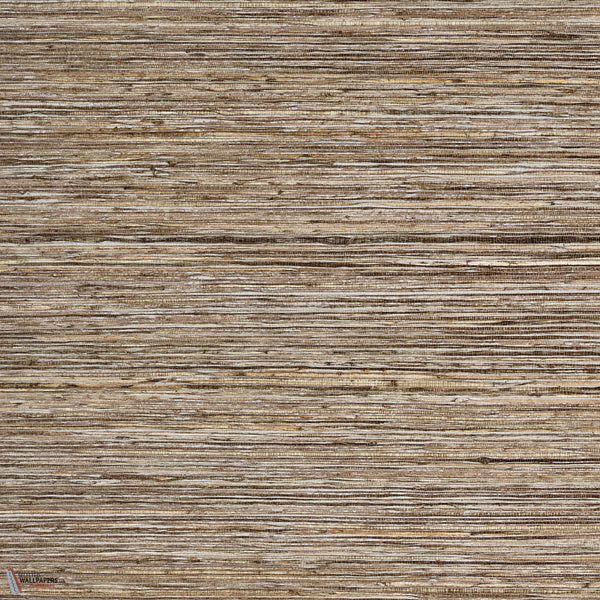 Bark