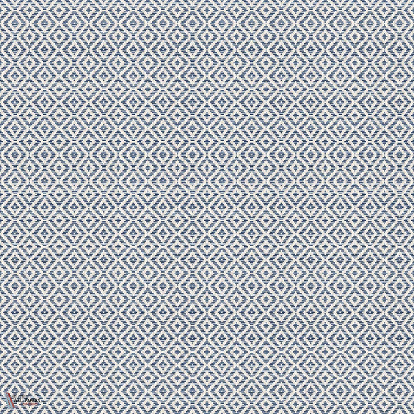 D00246