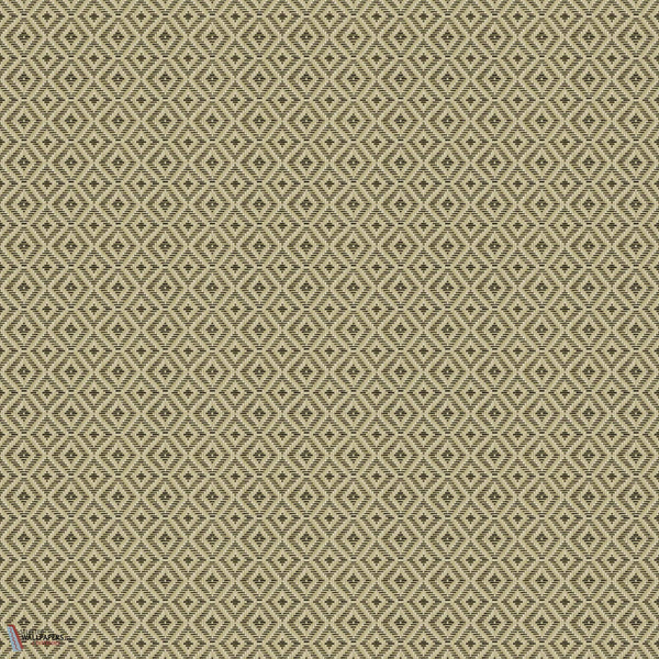 D00248