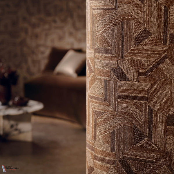 Modulo roomshot