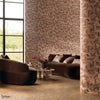Modulo roomshot