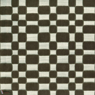 Modulor Kaki