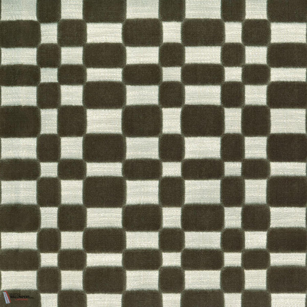 Kaki