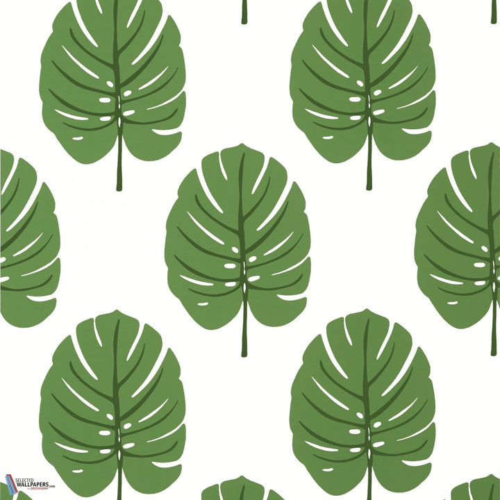 Monstera-Behang-Tapete-Thibaut-Green-Rol-T13952-Selected Wallpapers