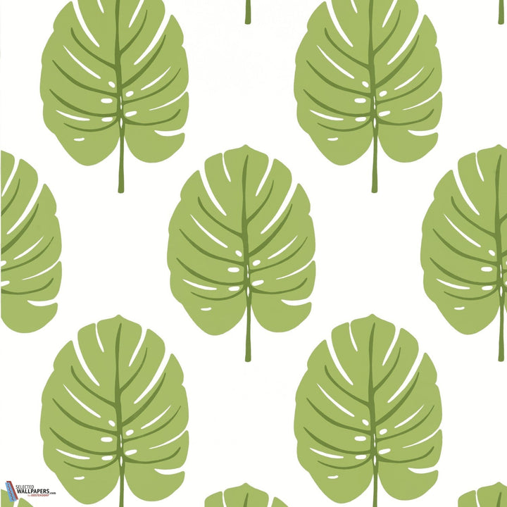 Monstera-Behang-Tapete-Thibaut-Apple Green-Rol-T13955-Selected Wallpapers