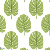 Monstera-Behang-Thibaut-Apple Green-Rol-T13955-Selected Wallpapers