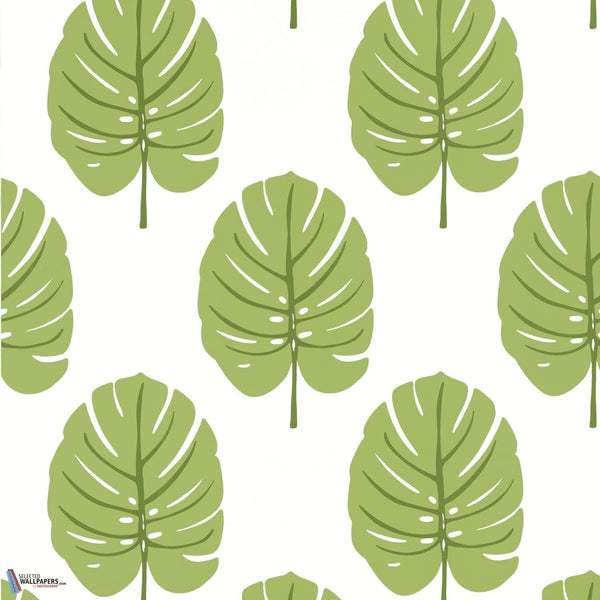 Monstera-Behang-Thibaut-Apple Green-Rol-T13955-Selected Wallpapers