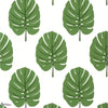 Monstera-Behang-Thibaut-Green-Rol-T13952-Selected Wallpapers
