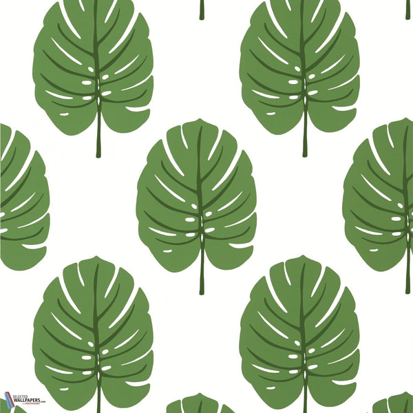 Monstera-Behang-Thibaut-Green-Rol-T13952-Selected Wallpapers