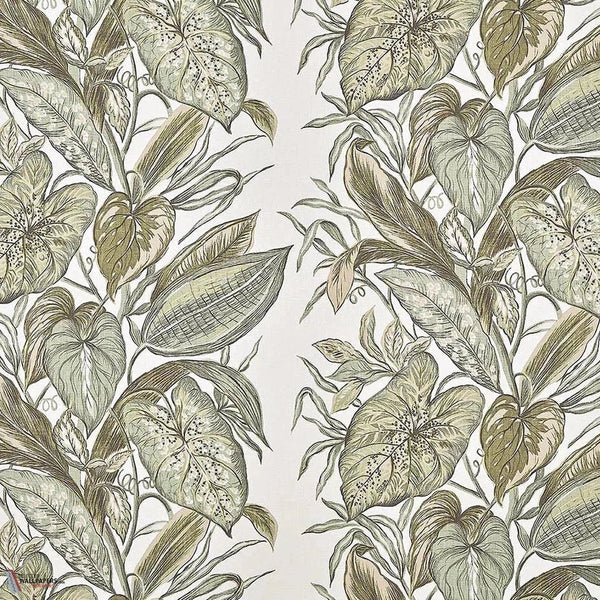 Nassau behang-Pierre Frey-Agave-Meter (M1)-Selected-Wallpapers-Interiors