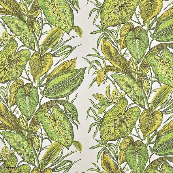 Nassau behang-Pierre Frey-Jungle-Meter (M1)-Selected-Wallpapers-Interiors