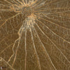 Nenuphar Sauvage Tapete-CMO Paris-Kaki-Rolle-Selected Wallpapers-Interiors