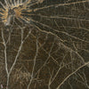 Nenuphar Sauvage Tapete-CMO Paris-Mousse-Rolle-Selected Wallpapers-Interiors