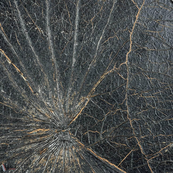 Nenuphar Sauvage Tapete-CMO Paris-Noir-Rolle-Selected Wallpapers-Interiors
