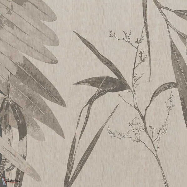 GLXVI221A