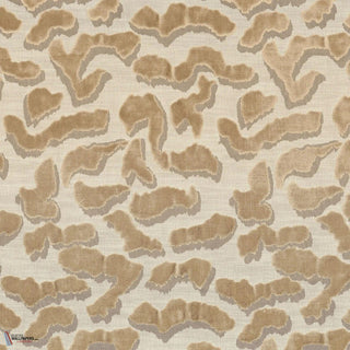 Nimbus Beige