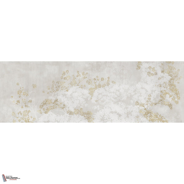 NOEMA GLXVI391 Combined Design