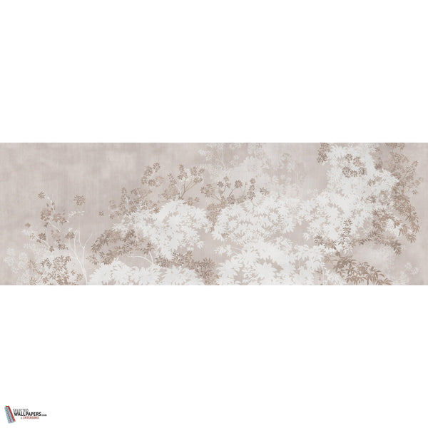 NOEMA GLXVI392 Combined Design