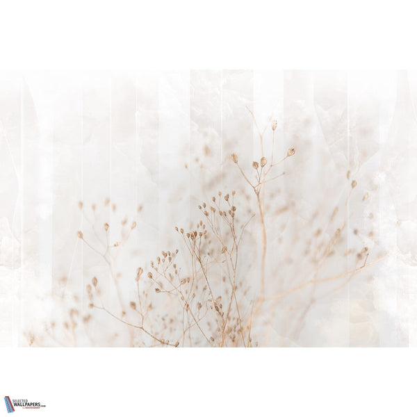 Odette-Behang-INSTABILELAB-Selected Wallpapers