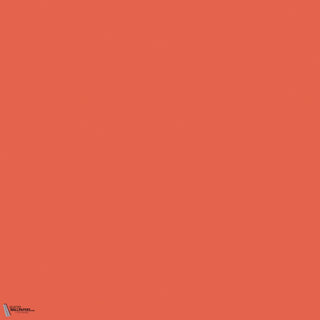 Little Greene Orange Aurora 21 paint