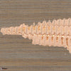 Orion wallpaper-Elitis-05-Roll-Selected-Wallpapers-Interiors