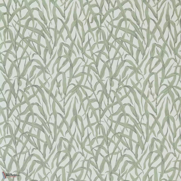 Ornamental Grasses wallpaper-1838 wallcoverings-Selected Wallpapers & Interiors